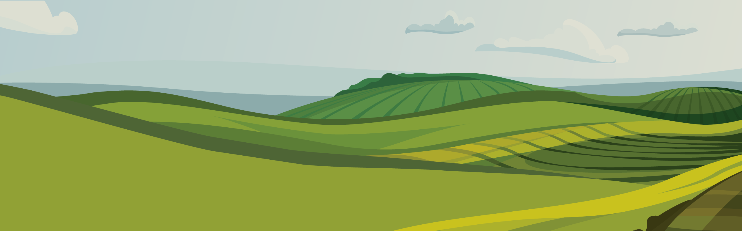 Aerial View over the District of Lunenburg