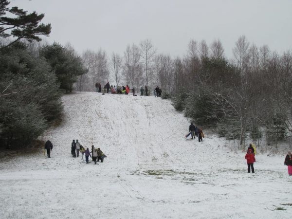 Downhill sledding at the MARC