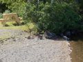 Wiles Lake Park 27