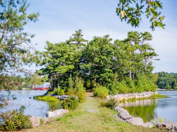 View of the walkway to the island at Lahave Sunset Park which is covered in trees