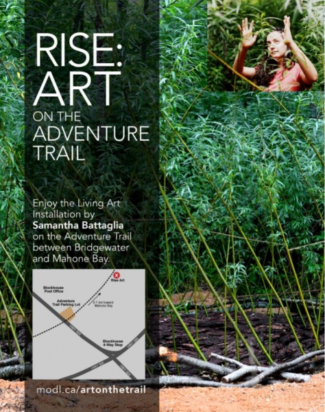 RISE ART ON THE TRAIL MAP